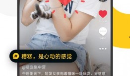 各种爆料小视频,小视频背后的真实故事