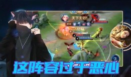 王者狐狸爆料视频,揭秘游戏幕后精彩瞬间