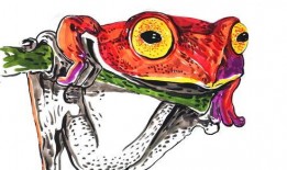 吸血蛙在线观看