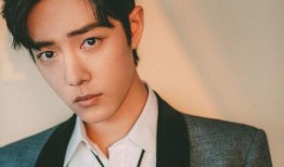 张炘炀娱乐吃瓜酱,揭秘娱乐圈幕后故事