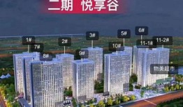 王庄最新爆料消息今天封城了,紧急封城，最新动态揭秘